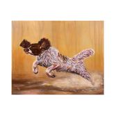 Leaping Spaniel